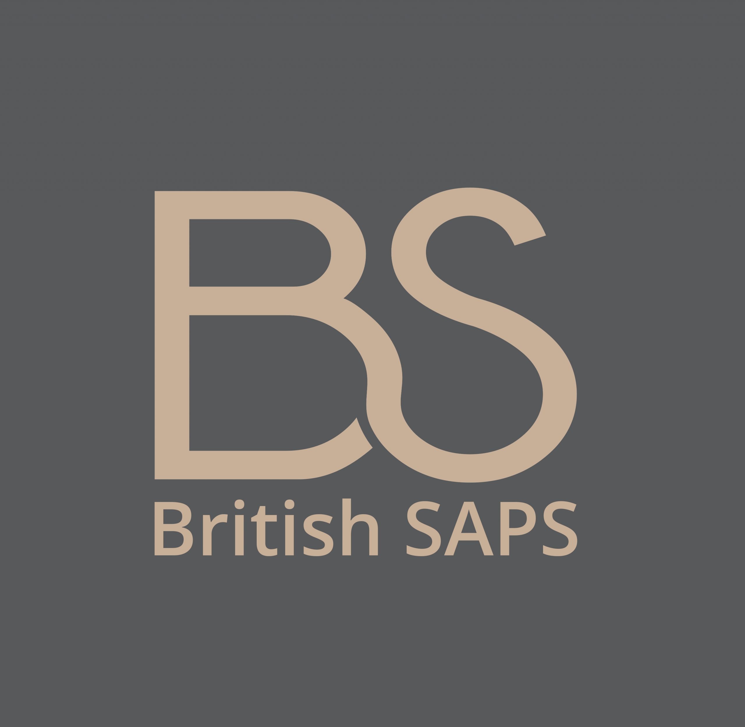 British SAPS Energy Assessors Logo